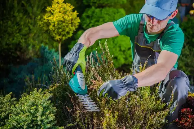 landscaping services Beckett Ridge